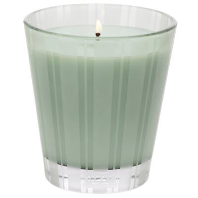NEST New York - Wild Mint & Eucalyptus Classic Candle 230g