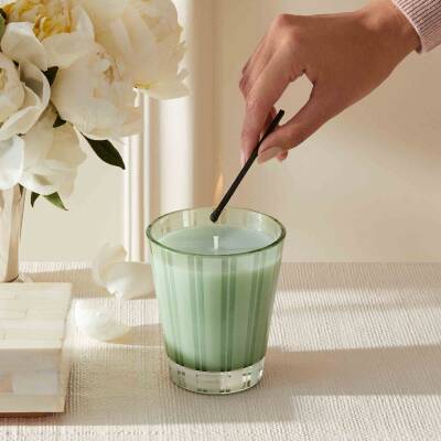 NEST New York - Wild Mint & Eucalyptus Classic Candle 230g